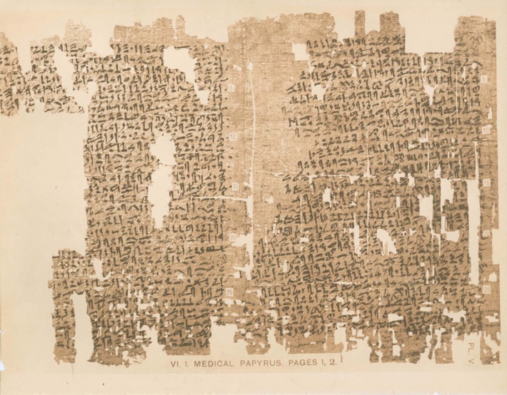 Fragmentos do Papiro Ginecologico de Kahun do Egito Antigo