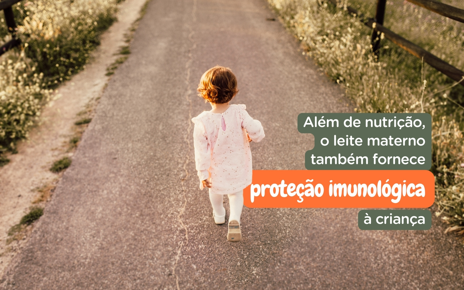 Hospital Vera Cruz - Blog - Leite Materno - Protecao Imunologica