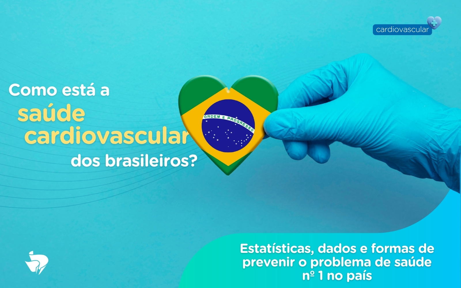 HOSPITAL VERA CRUZ - Blog - Saude Cardiovascular - capa