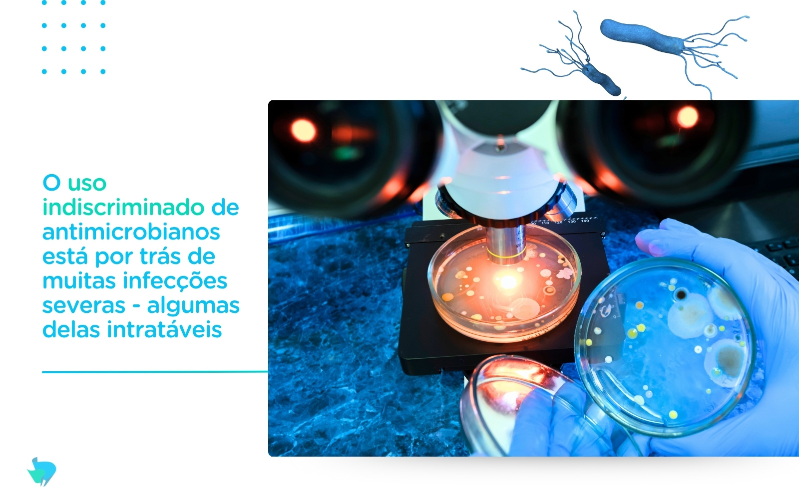 Vera Cruz Hospital - Blog - Infecções Hospitalares (bacterias resistentes)